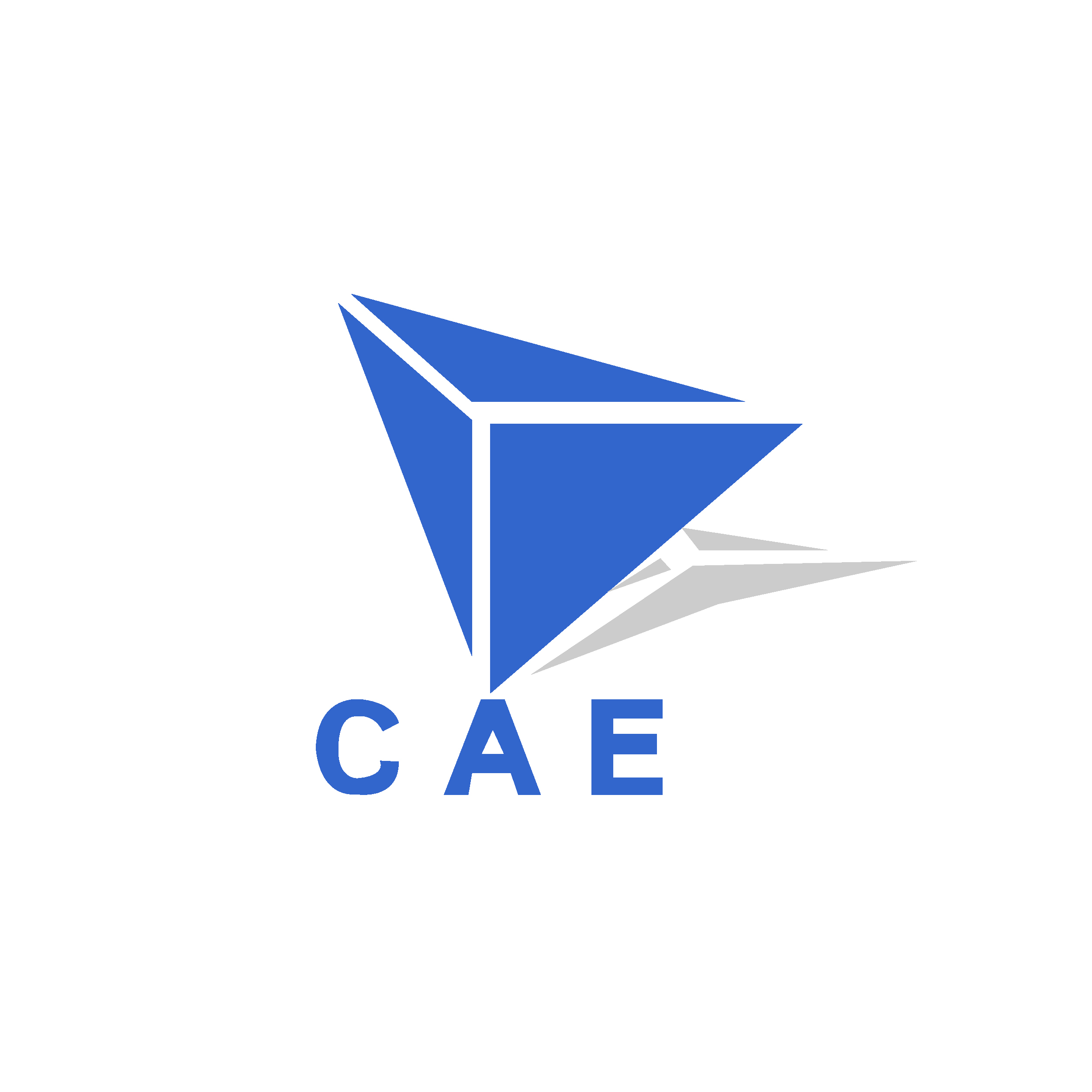 CAE Solutions Corp.